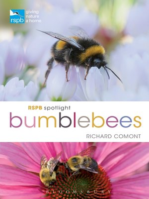 cover image of RSPB Spotlight Bumblebees